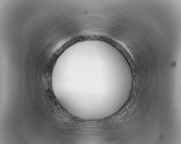 X0000091220871200708091135
