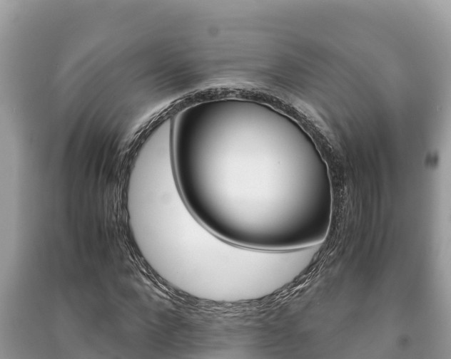 X0000091220872200708091135