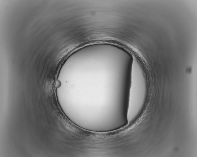 X0000091220873200708091135