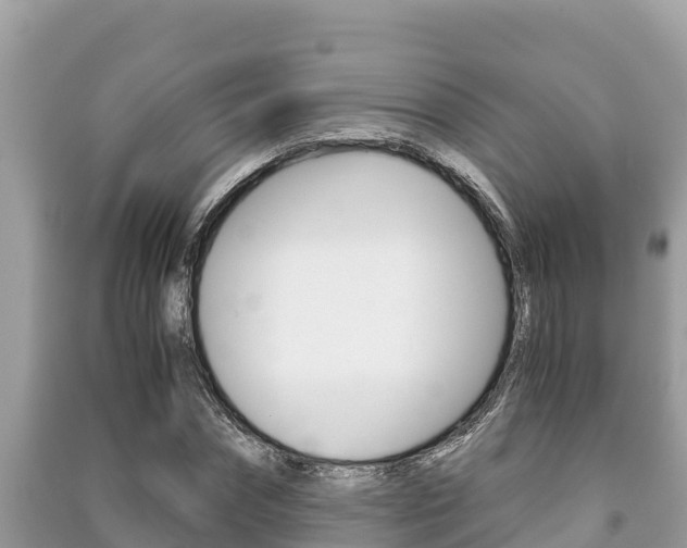 X0000091220874200708091135