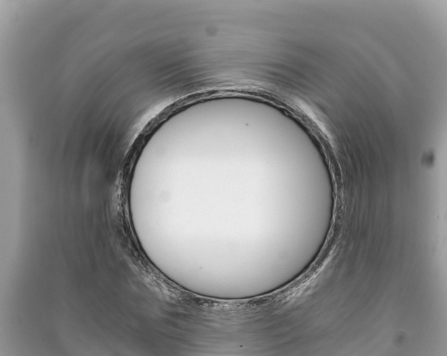 X0000091220875200708091135