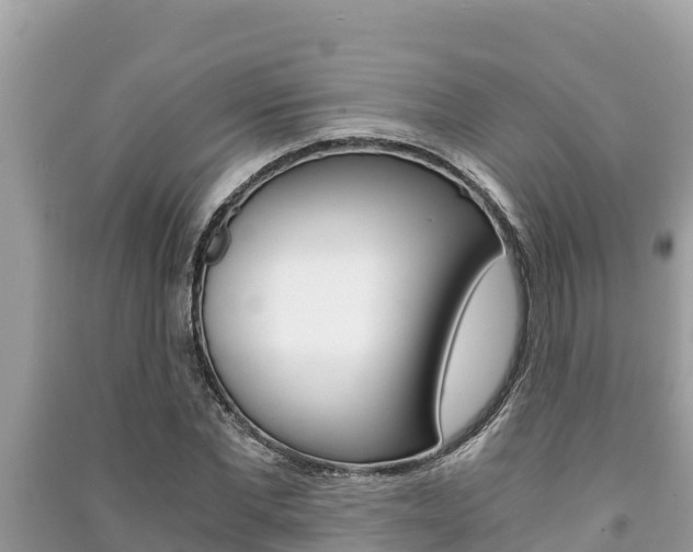 X0000091220877200708091135