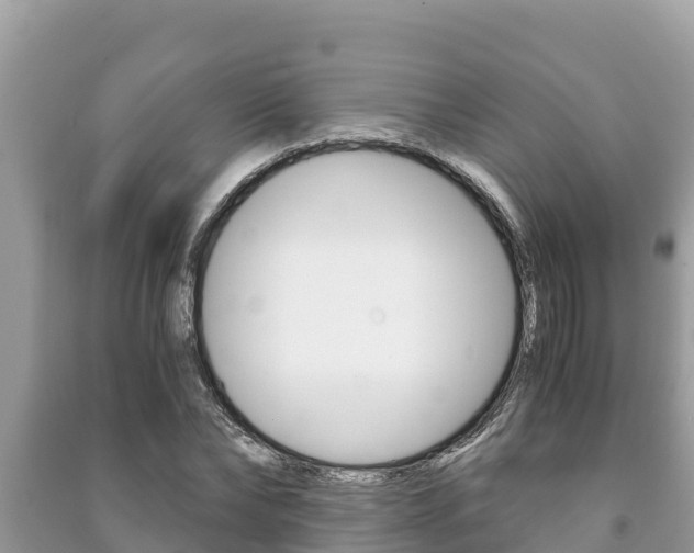 X0000091220878200708091135
