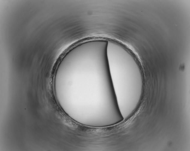 X0000091220879200708091135