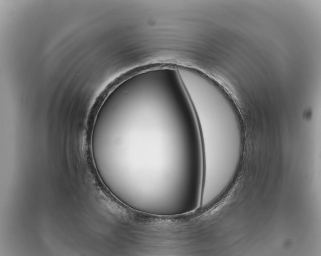 X0000091220880200708091135