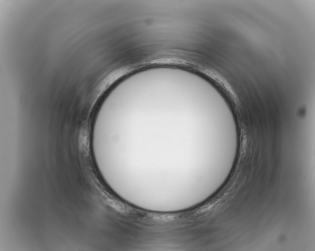 X0000091220882200708091135