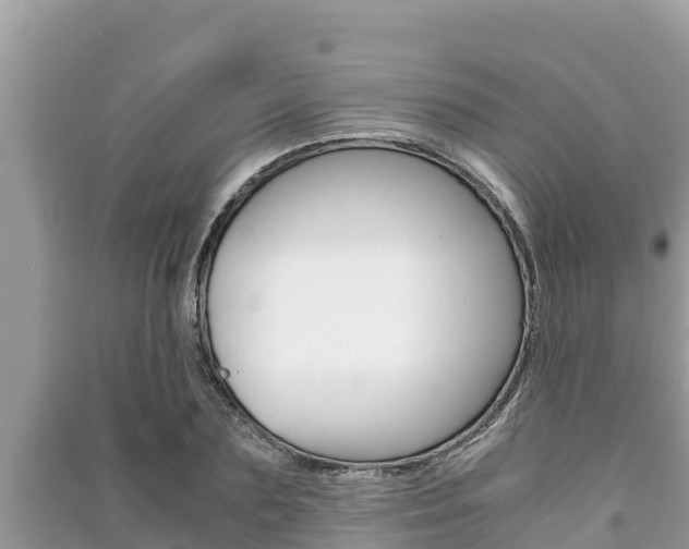 X0000091220883200708091135