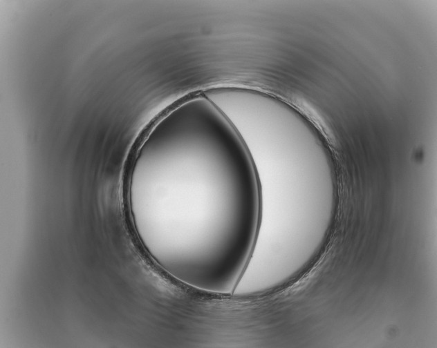 X0000091220884200708091135