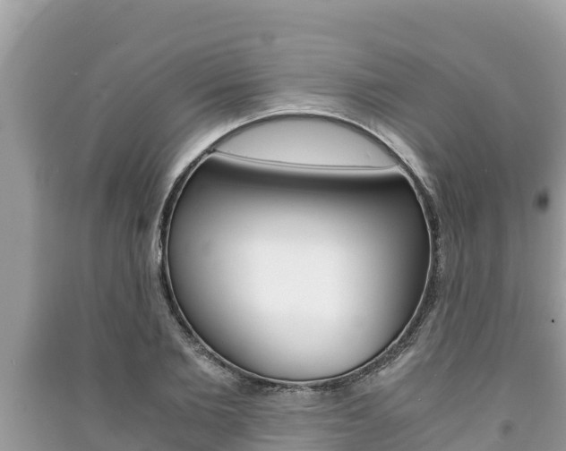 X0000091220885200708091135
