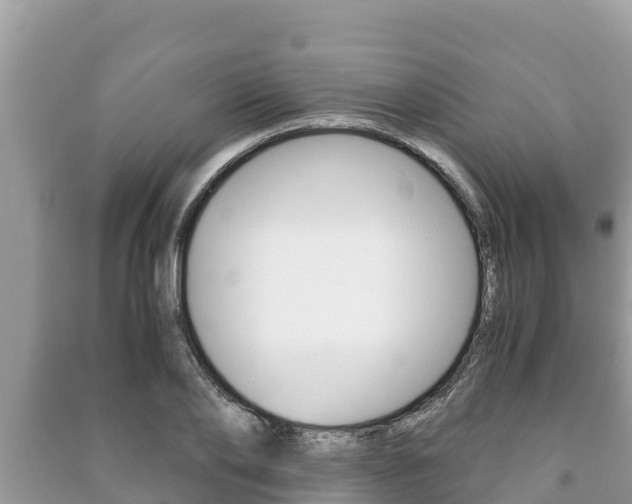 X0000091220886200708091135
