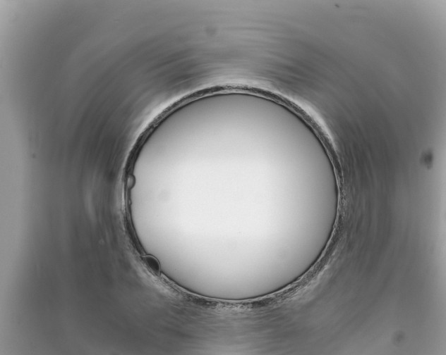 X0000091220887200708091134
