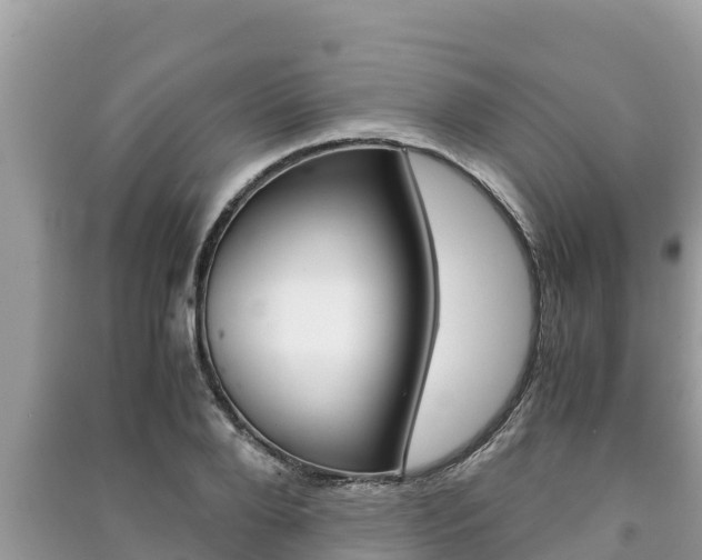 X0000091220888200708091134