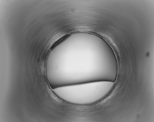 X0000091220889200708091134