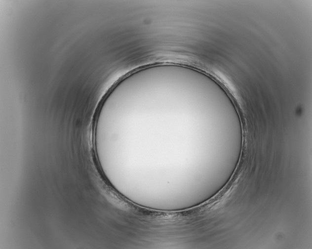 X0000091220891200708091134
