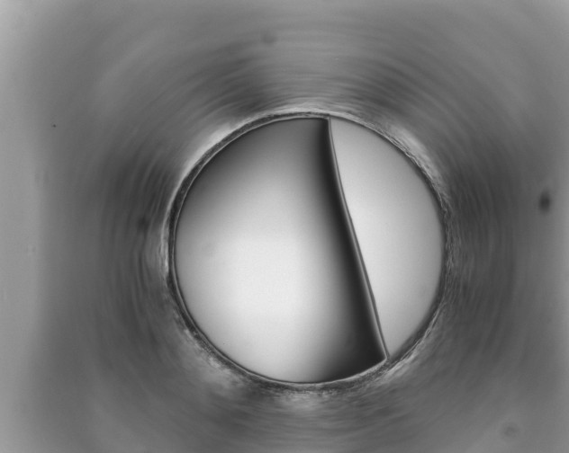 X0000091220892200708091134