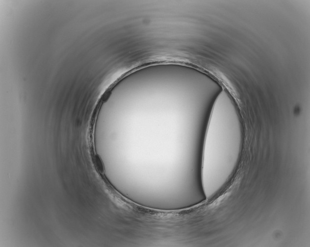 X0000091220893200708091134
