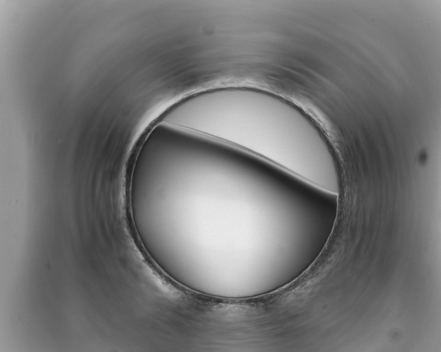X0000091220894200708091134