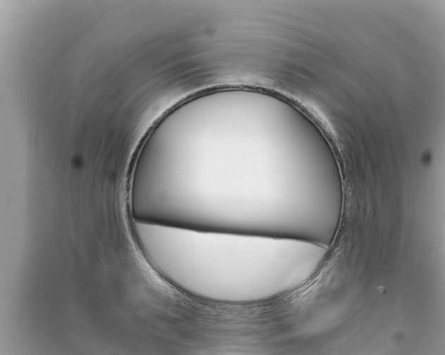 X0000091220895200708091134