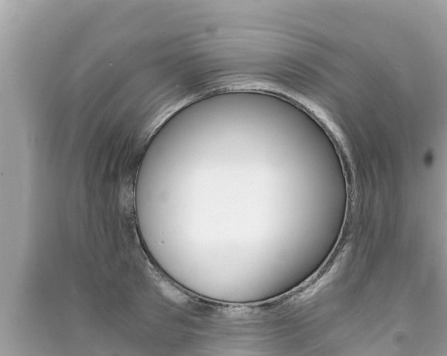 X0000091220897200708091134