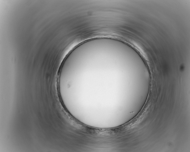 X0000091220899200708091134
