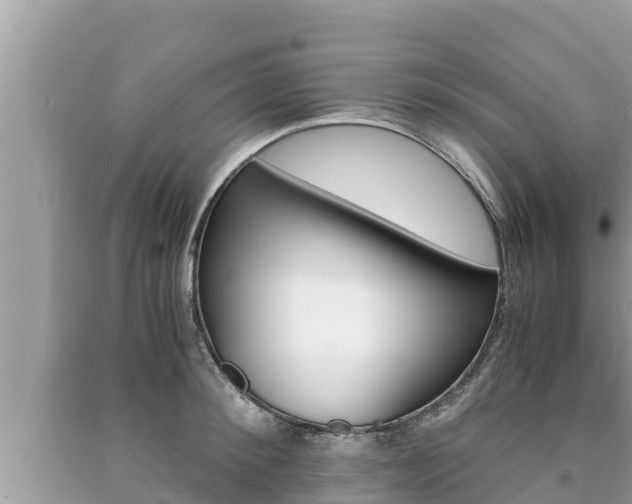 X0000091220900200708091134