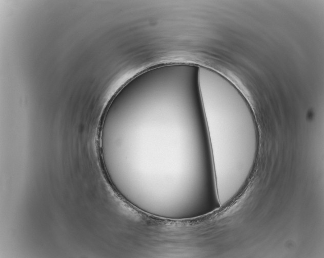 X0000091220901200708091134