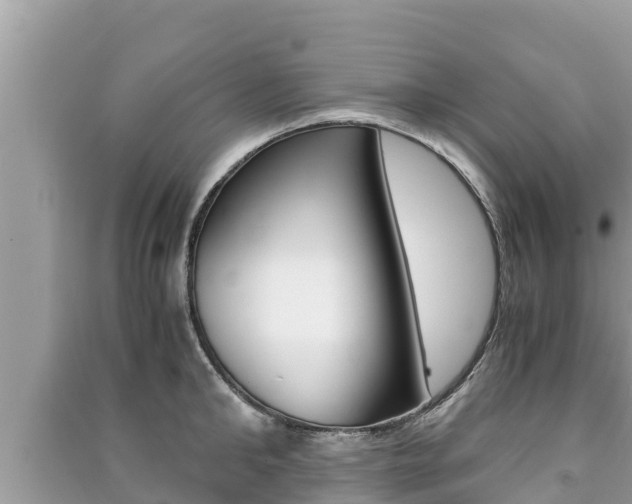 X0000091220902200708091134