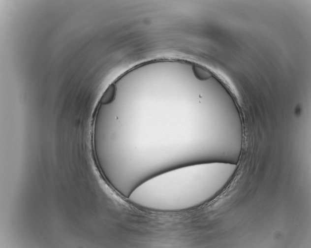 X0000091220903200708091134