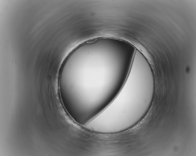X0000091220904200708091134