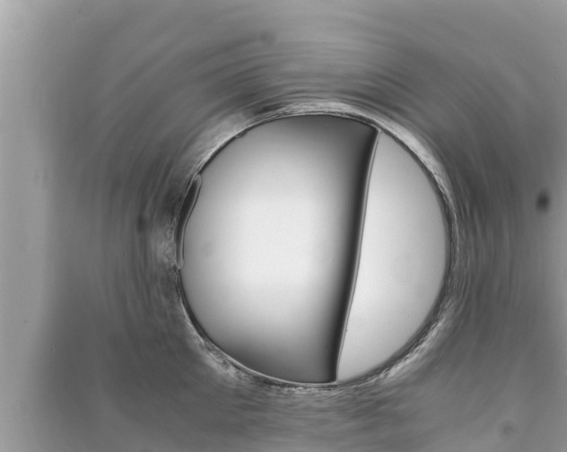 X0000091220905200708091134