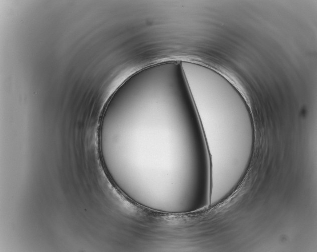 X0000091220906200708091134