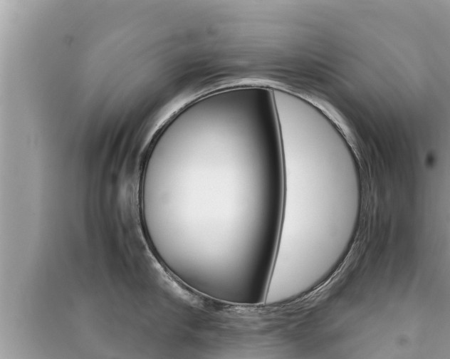 X0000091220910200708091134