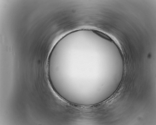X0000091220911200708091134