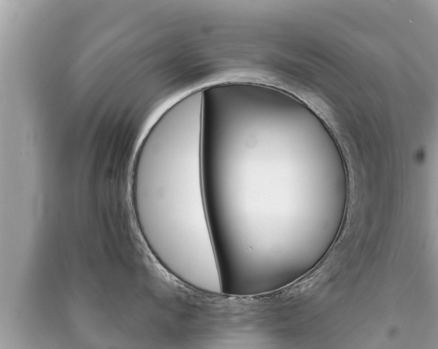 X0000091220912200708091134