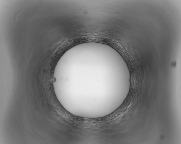 X0000091220913200708091134