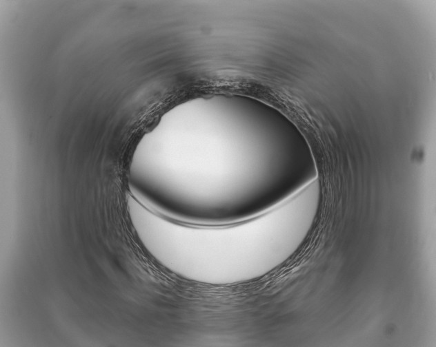 X0000091220916200708091134