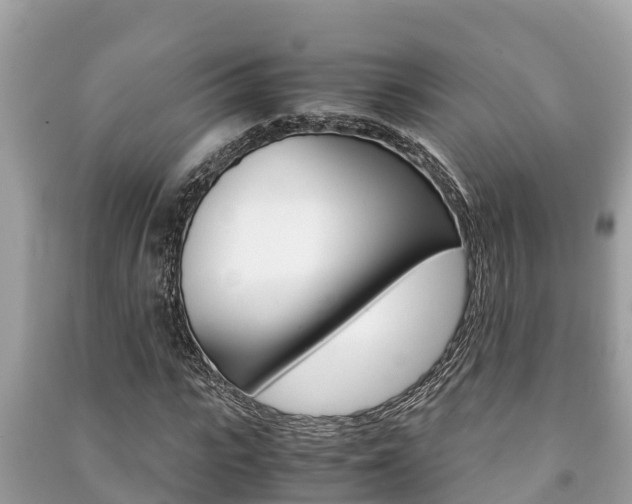 X0000091220919200708091134