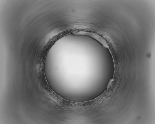 X0000091220920200708091134
