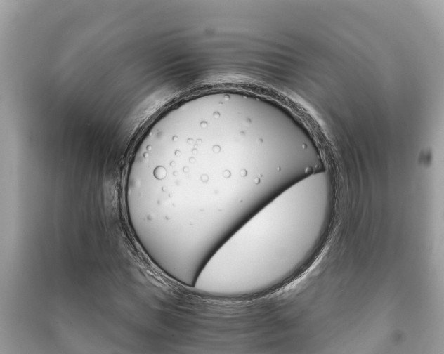 X0000091220921200708091134