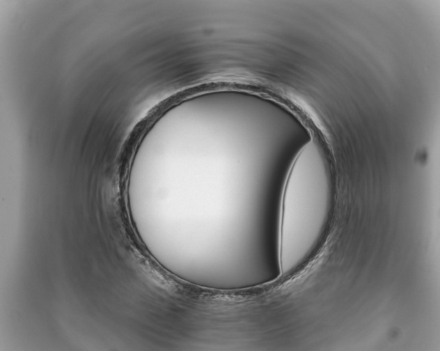 X0000091220923200708091134