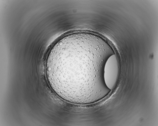 X0000091220925200708091134