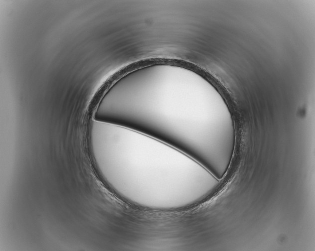 X0000091220926200708091134