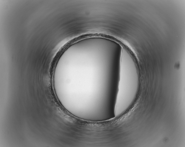 X0000091220927200708091134
