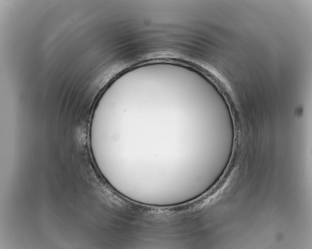 X0000091220929200708091134