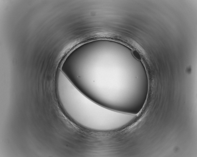 X0000091220930200708091134