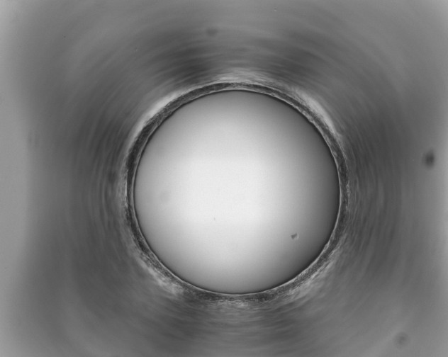 X0000091220931200708091134