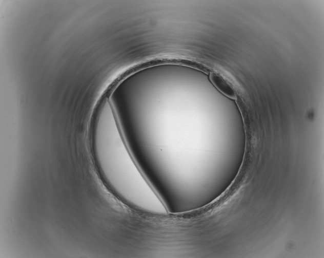 X0000091220934200708091134