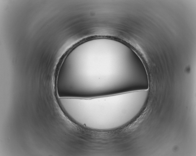 X0000091220935200708091134