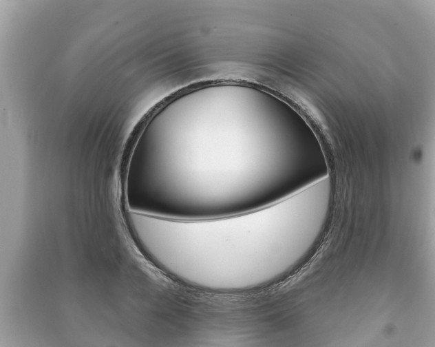 X0000091220936200708091134