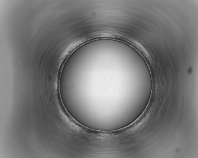 X0000091220938200708091134